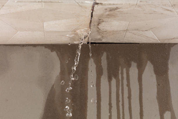 Professional Water Damage Repair technician working in New Deal, TX